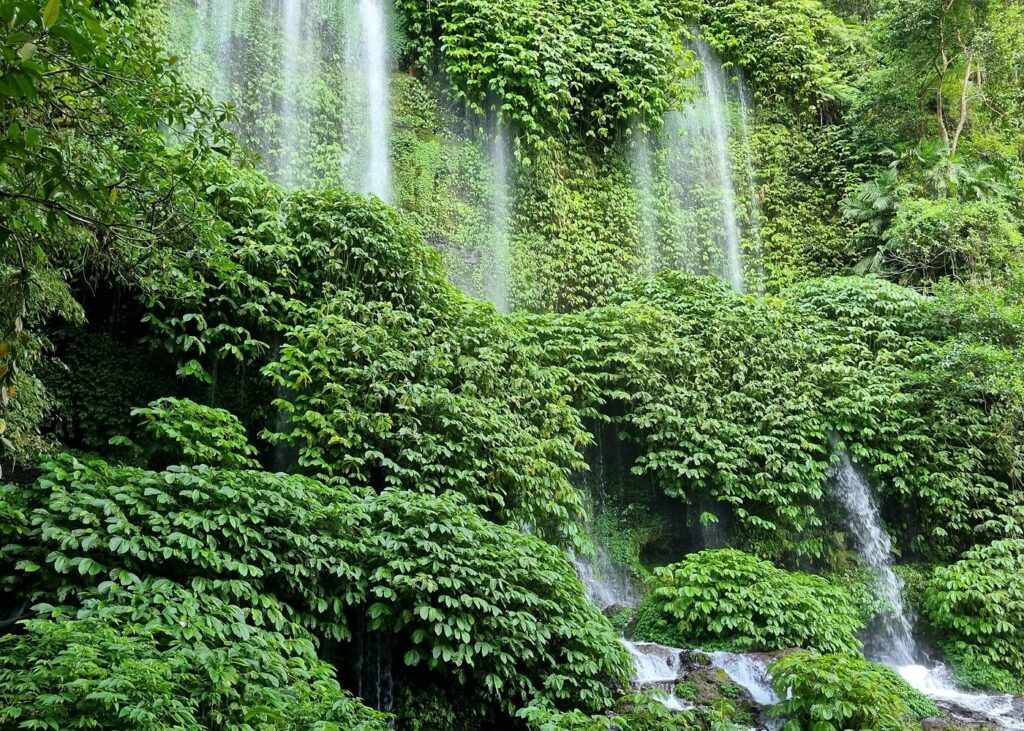 Lombok Tour Package