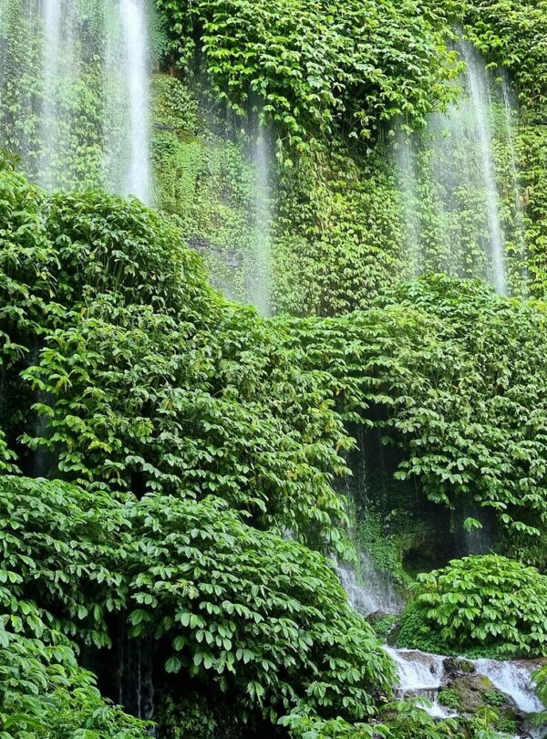 Lombok Tour Package