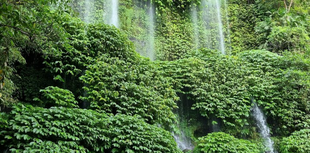 Benang Kelambu Waterfall Lombok