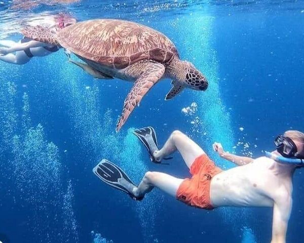 Snorkeling Gili Trawangan