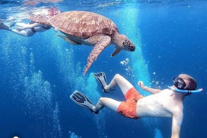 Snorkeling Gili Trawangan