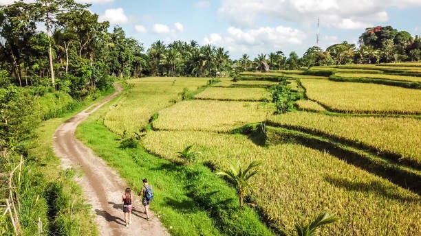 Tetebatu Lombok