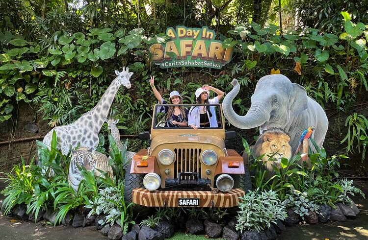 Bali Safari Jungle Hopper