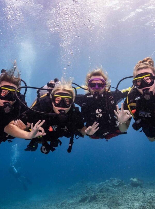 Scuba Diving Gili Trawangan