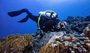 Fun Dive Gili Trawangan