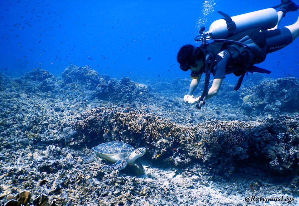 Scuba Diving Gili Trawangan