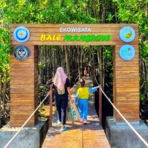 Wisata Mangrove Lombok