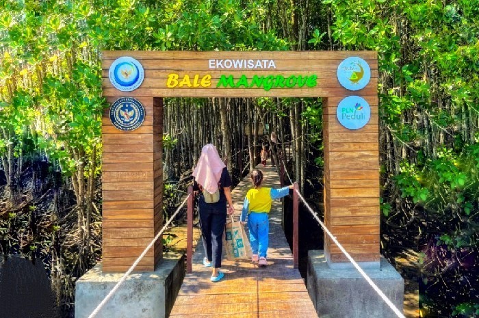 Wisata Mangrove Lombok
