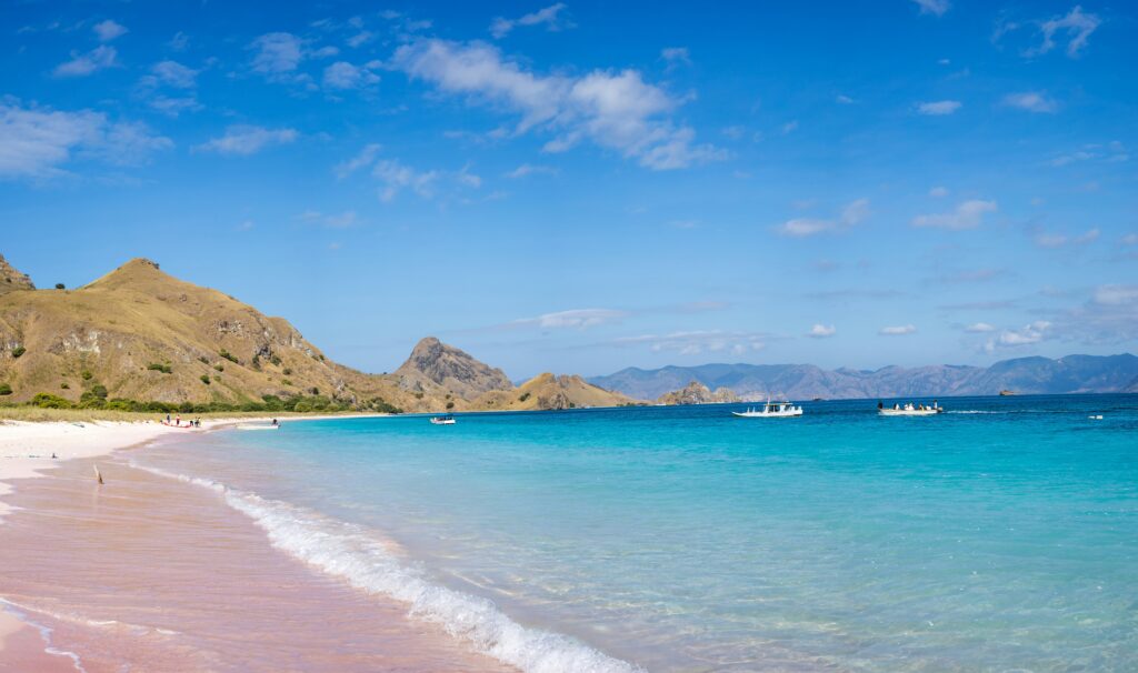 Wisata Pantai Pink Lombok