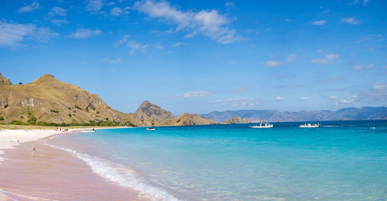 Wisata Pantai Pink Lombok: Panduan Lengkap, Keindahan Unik & Tips Liburan Terbaru (2025)