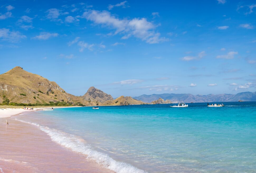 Wisata Pantai Pink Lombok