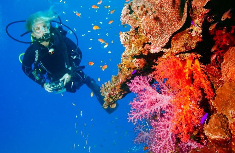 try-scuba-diving-nusa-penida