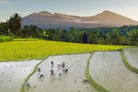 Tetebatu Village Lombok