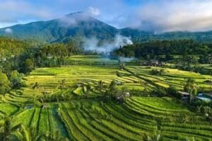 Tetebatu Travel Guide: Waterfalls, Rice Fields, Villages & Things to Do