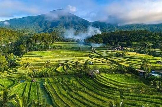 Tetebatu Travel Guide: Waterfalls, Rice Fields, Villages & Things to Do